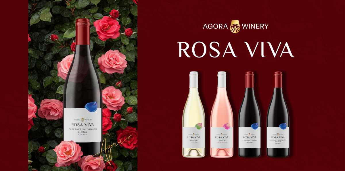 Акции магазина алкоголя Vinobox