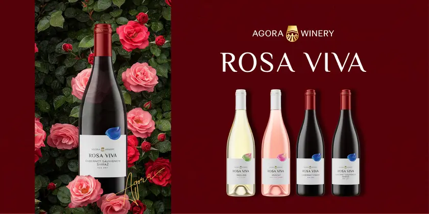 Союз красоты и силы, из которого рождаются прекрасные вина